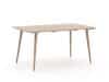 + 10 % Kassenrabatt | ROUGH-K Gartentisch 160x90x75 cm