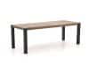 + 10 % Kassenrabatt | ROUGH-S Gartentisch 220x90x76 cm