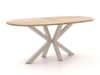 + 10 % Kassenrabatt | ROUGH-Y Ellips Bartisch 240x120 cm