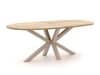 + 10 % Kassenrabatt | ROUGH-Y Ellips High Dining Gartentisch 240x120 cm
