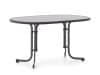 + 10 % Kassenrabatt | Sieger Mecalit Gartentisch klappbar 140x90x72 cm