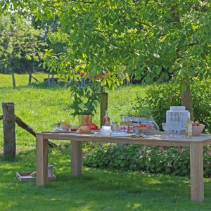 + 10 % Kassenrabatt | ROUGH-X Gartentisch 240x100x76 cm