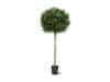 + 10 % Kassenrabatt | Designplants Buchsbaum Kugel Kunstbaum (h: 110 cm)