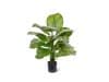 + 10 % Kassenrabatt | Designplants Calathea Fasciata Kunstpflanze (h: 70 cm)