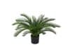 + 10 % Kassenrabatt | Designplants Cycas-Palme Kunstpflanze (h: 60 cm)