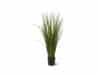 + 10 % Kassenrabatt | Designplants Gras Kunstpflanze (h: 80 cm)