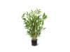 + 10 % Kassenrabatt | Designplants Japanischer Bambus Kunstpflanze (h: 60 cm)