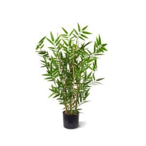 + 10 % Kassenrabatt | Designplants Japanischer Bambus Kunstpflanze (h: 60 cm)