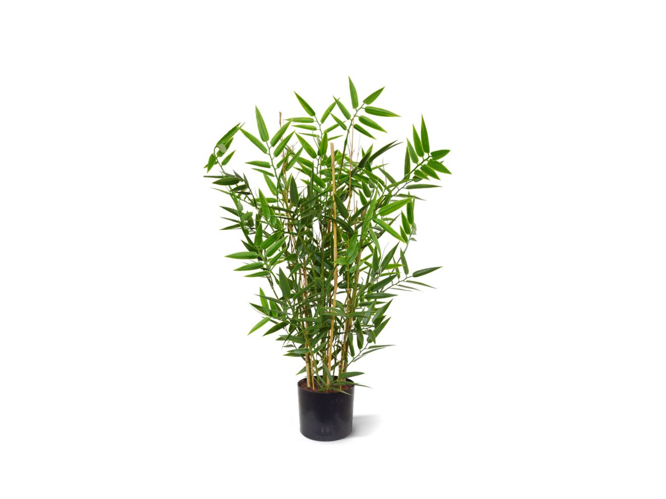 + 15 % Kassenrabatt | Designplants Japanischer Bambus Kunstpflanze (h: 60 cm)