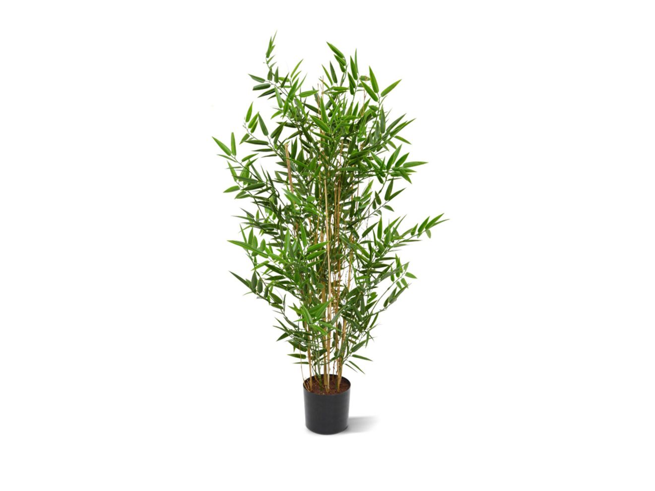 + 15 % Kassenrabatt | Designplants Japanischer Bambus Kunstpflanze (h: 90 cm)