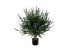 + 10 % Kassenrabatt | Designplants Lavendel Kugel Kunstpflanze (h: 60 cm)