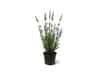 + 10 % Kassenrabatt | Designplants Lavendel Kunstpflanze (h: 50 cm)