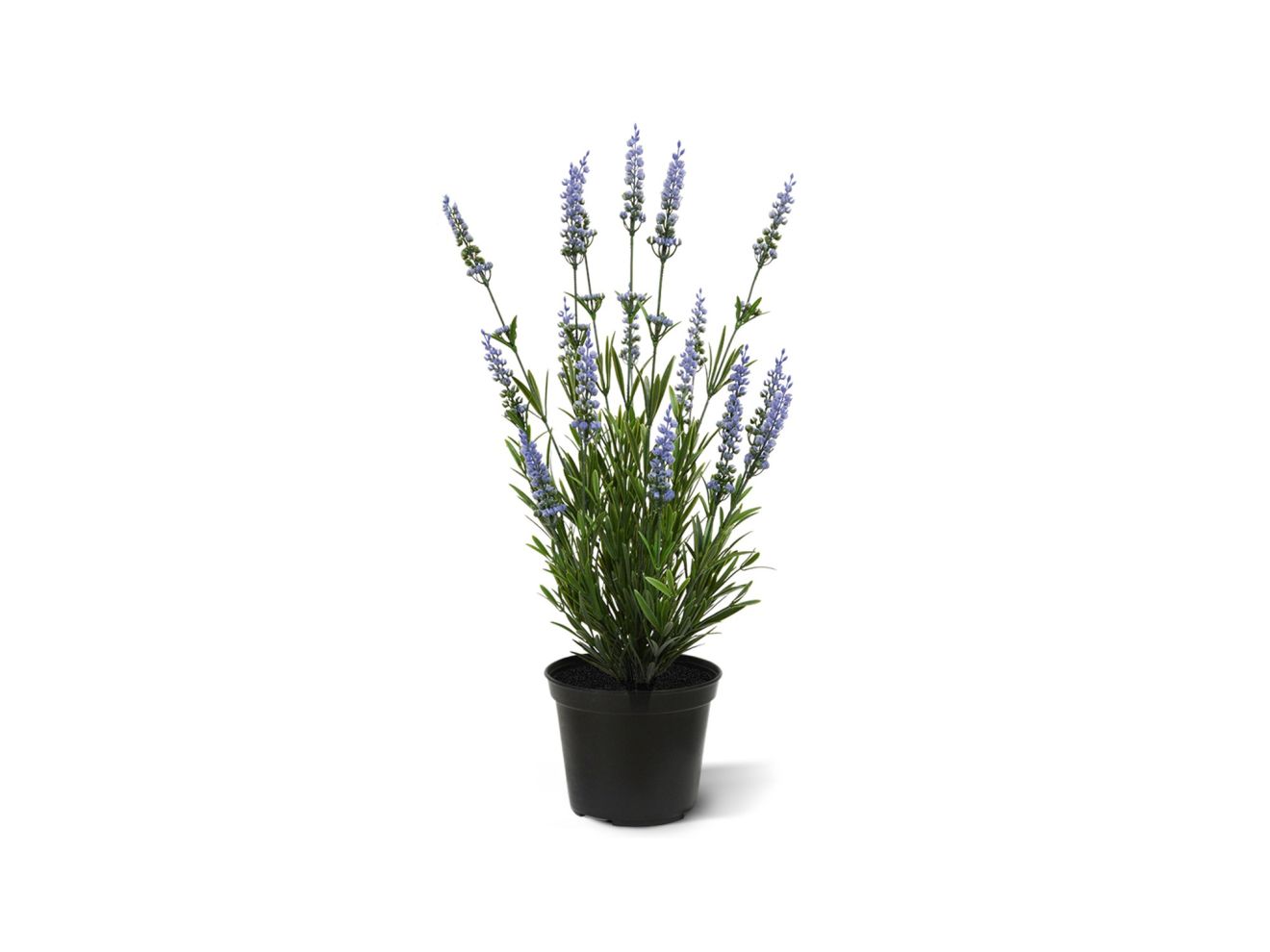 + 15 % Kassenrabatt | Designplants Lavendel Kunstpflanze (h: 50 cm)