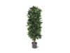 + 10 % Kassenrabatt | Designplants Lorbeer Säule Kunstpflanze (h: 125 cm)