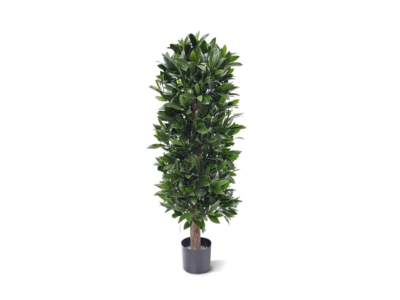 + 15 % Kassenrabatt | Designplants Lorbeer Säule Kunstpflanze (h: 125 cm)