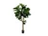 + 10 % Kassenrabatt | Designplants Lyrata Y Kunstbaum (h: 170 cm)