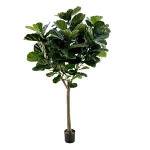 + 15 % Kassenrabatt | Designplants Lyrata Y Kunstbaum (h: 220 cm)