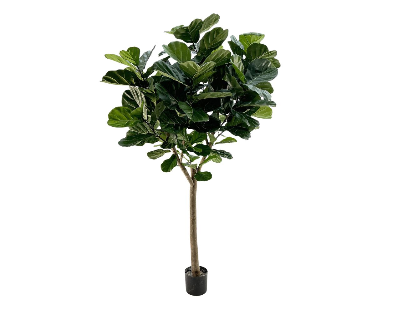 + 15 % Kassenrabatt | Designplants Lyrata Y Kunstbaum (h: 220 cm)