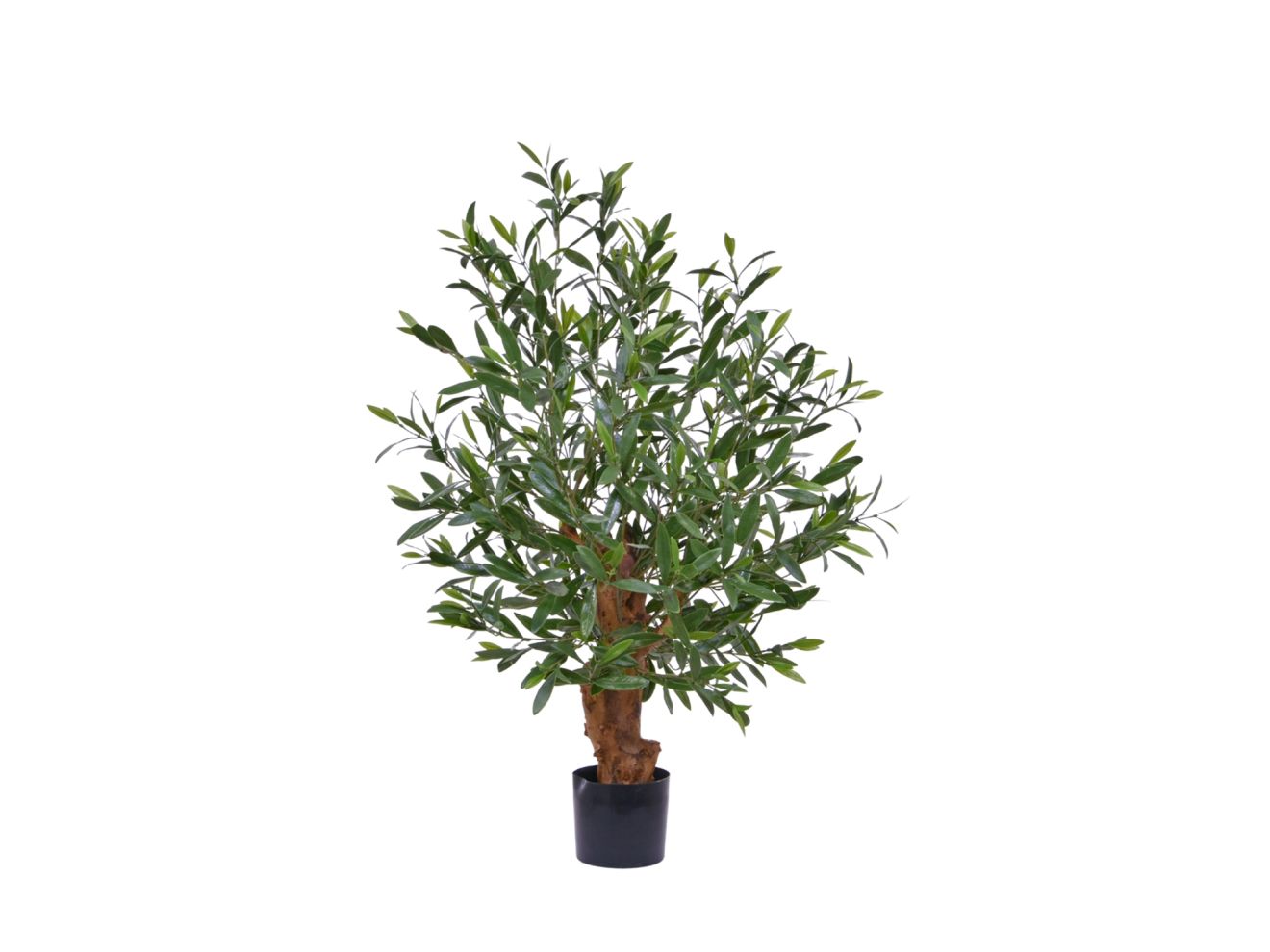 + 15 % Kassenrabatt | Designplants Oliven-Bonsai Kunstpflanze (h: 90 cm)