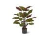 + 10 % Kassenrabatt | Designplants Red Calathea Makoyana Kunstpflanze (h: 60 cm)