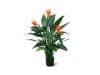+ 10 % Kassenrabatt | Designplants Strelitzia Kunstpflanze (h: 115 cm)