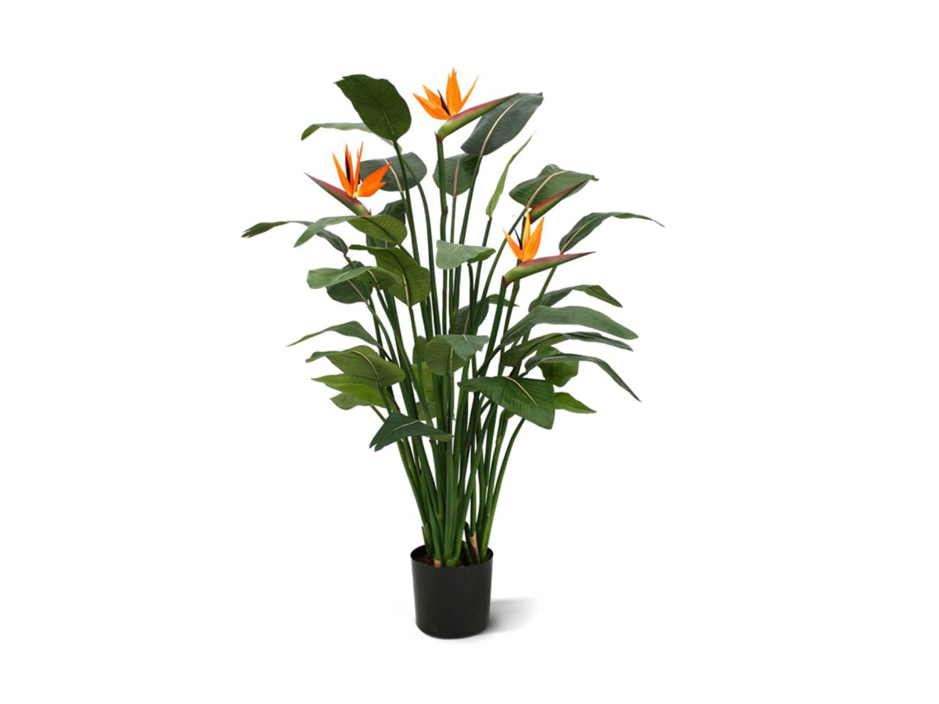+ 15 % Kassenrabatt | Designplants Strelitzia Kunstpflanze (h: 145 cm)