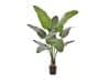 + 10 % Kassenrabatt | Designplants Strelitzia Nicolai Kunstpflanze (h: 145 cm)