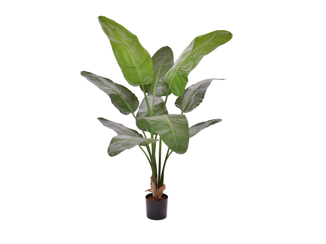 + 15 % Kassenrabatt | Designplants Strelitzia Nicolai Kunstpflanze (h: 145 cm)