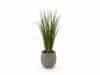 + 10 % Kassenrabatt | Designplants/Luca Lifestyle Gras Kunstpflanze (h:80 cm) mit Bordo Balloon Blumentopf