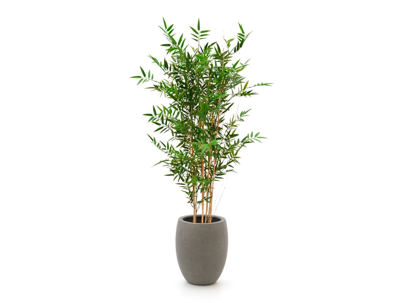 + 15 % Kassenrabatt | Designplants/Luca Lifestyle Japanischer Bambus Kunstpflanze (h:120 cm) mit Grigio Tall Balloon Blumentopf