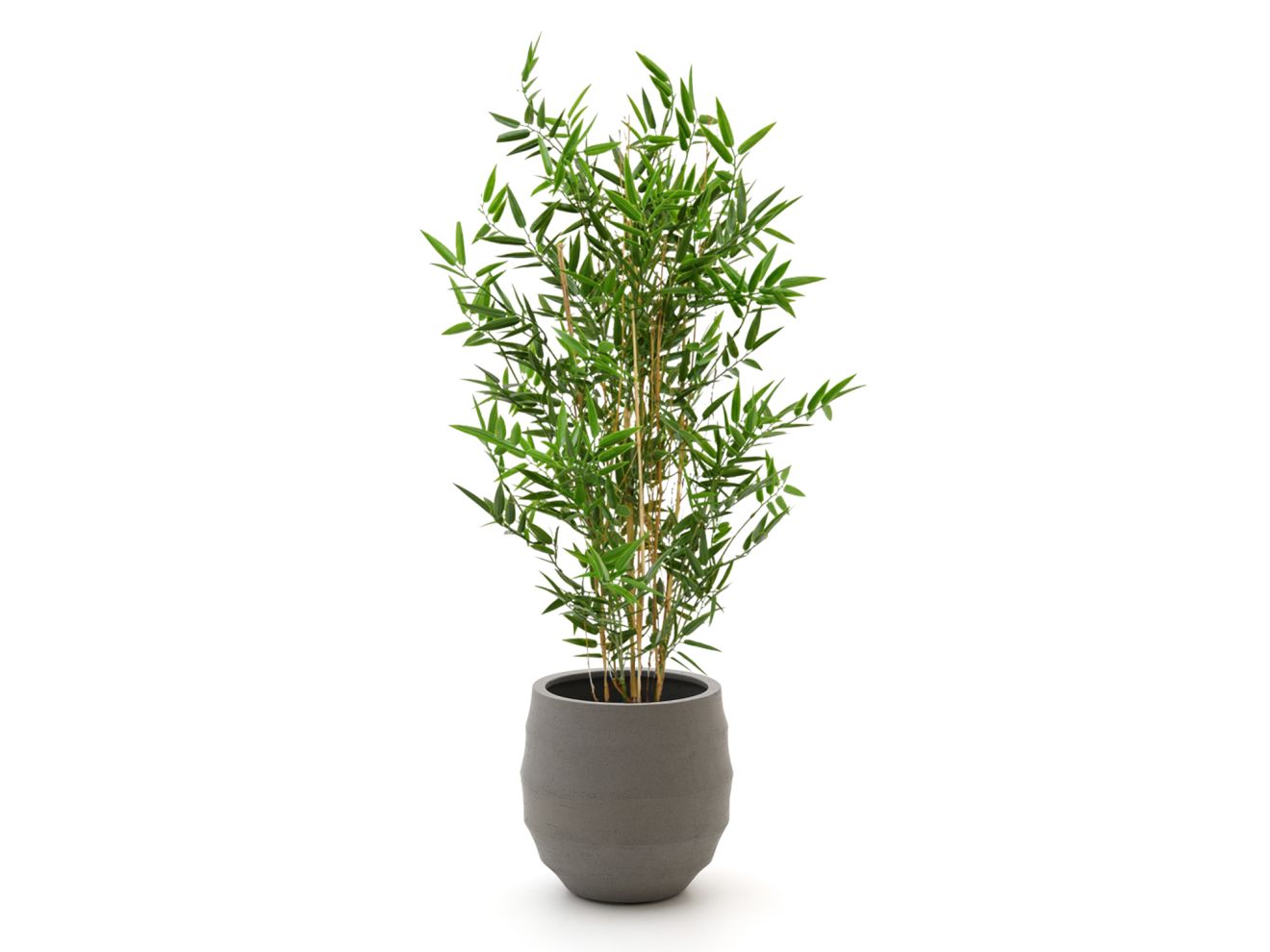 + 15 % Kassenrabatt | Designplants/Luca Lifestyle Japanischer Bambus Kunstpflanze (h:90 cm) mit Bordo Balloon Blumentopf