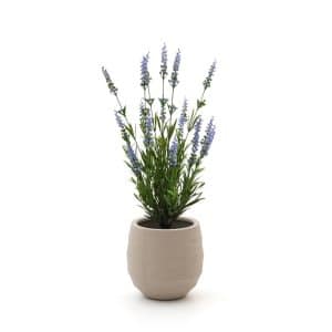 Designplants/Luca Lifestyle Lavendel Kunstpflanze (h:50 cm) mit Bordo Balloon Blumentopf