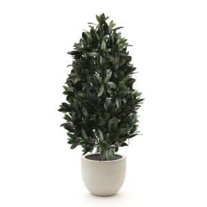 Designplants/Luca Lifestyle Lorbeer Pyramide Kunstpflanze (h:150 cm) mit Grigio New Egg Blumentopf