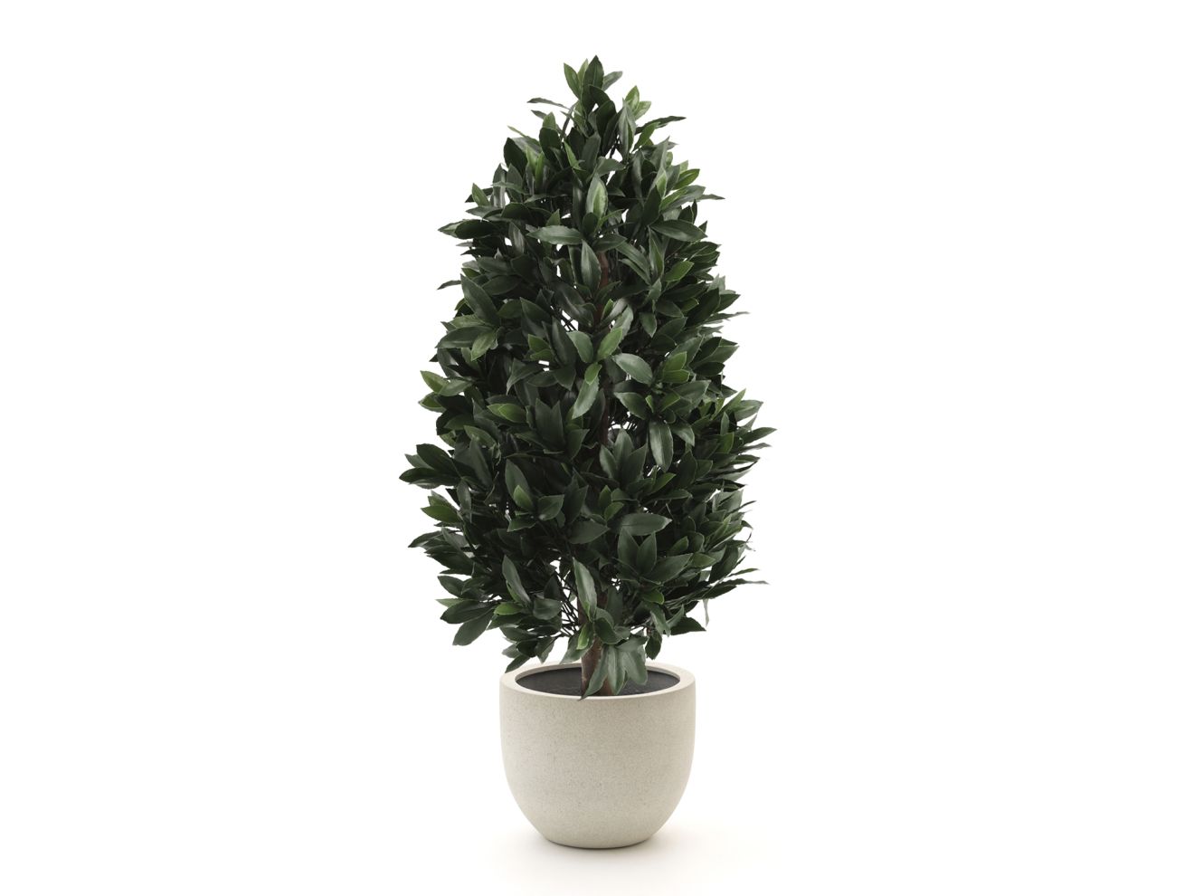 + 15 % Kassenrabatt | Designplants/Luca Lifestyle Lorbeer Pyramide Kunstpflanze (h:150 cm) mit Grigio New Egg Blumentopf