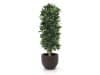 + 10 % Kassenrabatt | Designplants/Luca Lifestyle Lorbeer Säule Kunstpflanze (h:125 cm) mit Terreno New Egg Blumentopf