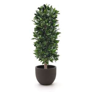 Designplants/Luca Lifestyle Lorbeer Säule Kunstpflanze (h:125 cm) mit Terreno New Egg Blumentopf