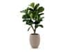 + 10 % Kassenrabatt | Designplants/Luca Lifestyle Lyrata Y Kunstbaum (h:130 cm) mit Bordo Tall Balloon Blumentopf