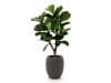 + 10 % Kassenrabatt | Designplants/Luca Lifestyle Lyrata Y Kunstbaum (h:130 cm) mit Terreno Tall Balloon Blumentopf