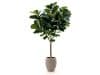+ 10 % Kassenrabatt | Designplants/Luca Lifestyle Lyrata Y Kunstbaum (h:220 cm) mit Terreno Tall Balloon Blumentopf