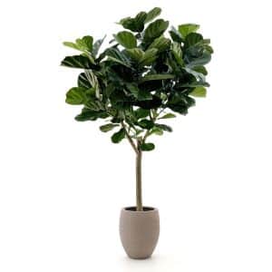 + 15 % Kassenrabatt | Designplants/Luca Lifestyle Lyrata Y Kunstbaum (h:220 cm) mit Terreno Tall Balloon Blumentopf
