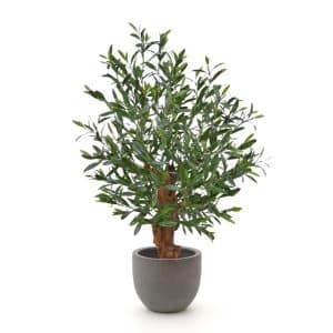 + 15 % Kassenrabatt | Designplants/Luca Lifestyle Oliven Bonsai Kunstpflanze (h:90 cm) mit Grigio New Egg Blumentopf
