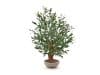 + 10 % Kassenrabatt | Designplants/Luca Lifestyle Oliven Bonsai Kunstpflanze (h:90 cm) mit Terreno Bowl Blumentopf