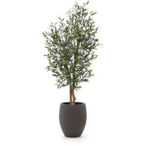 + 15 % Kassenrabatt | Designplants/Luca Lifestyle Oliven Kunstbaum (h:150 cm) mit Terreno Tall Balloon Blumentopf