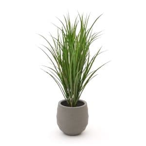 + 15 % Kassenrabatt | Designplants/Luca Lifestyle Reitgras Kunstpflanze (h:100 cm) mit Bordo Balloon Blumentopf
