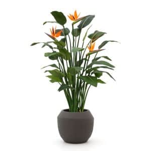 + 15 % Kassenrabatt | Designplants/Luca Lifestyle Strelitzia Kunstpflanze (h:145 cm) mit Ruvido Combi Blumentopf