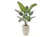 + 10 % Kassenrabatt | Designplants/Luca Lifestyle Strelitzia Nicolai Kunstpflanze (h:145 cm) mit Grigio Tall Balloon Blumentopf