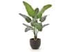 + 10 % Kassenrabatt | Designplants/Luca Lifestyle Strelitzia Nicolai Kunstpflanze (h:145 cm) mit Terreno New Egg Blumentopf