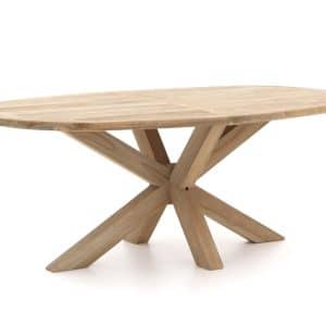 + 10 % Kassenrabatt | ROUGH-Y Ellips Gartentisch 200x110x72 cm