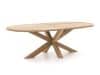 + 10 % Kassenrabatt | ROUGH-Y Ellips Gartentisch 240x120x72 cm