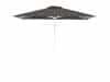 + 10 % Kassenrabatt | Shadowline Push-Up Sonnenschirm 240x240 cm